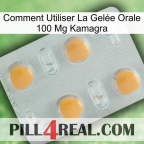 Comment Utiliser La Gelée Orale 100 Mg Kamagra 24